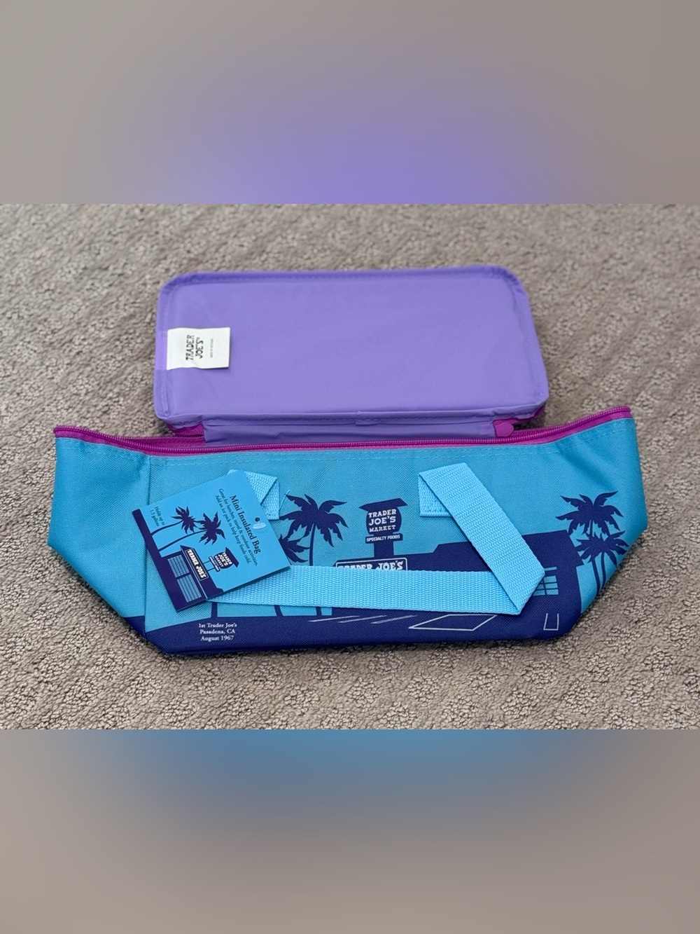 NWT Trader Joe's Mini Insulated Bag - Ocean Blue